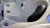 Акватюнинг Акватюнинг